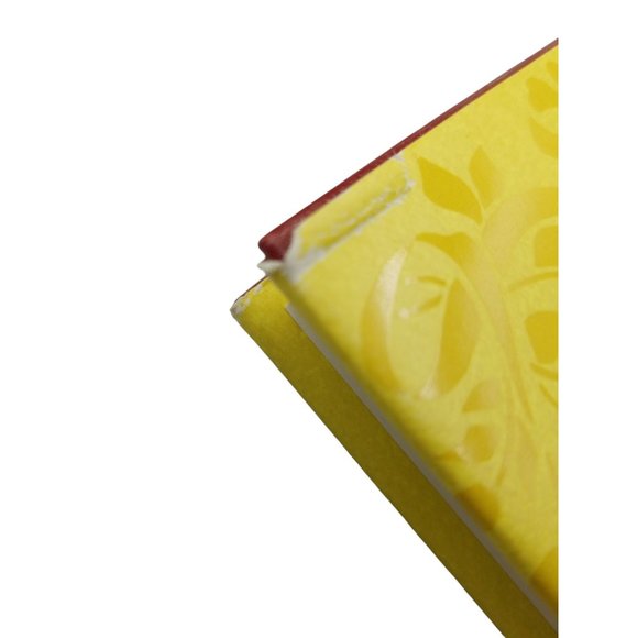 The Velveteen Principles: A Guide to Becoming Real Hidden Wisdom from a Children - Picture 12 of 14